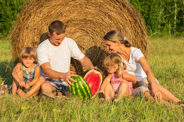 Familie op picknick in het veld — Stockfoto