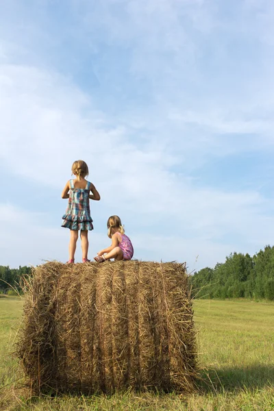 Dvě dívky stojí na stohu — Stock fotografie