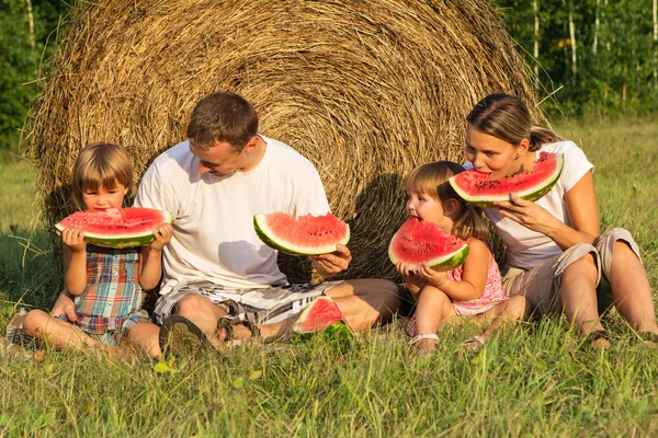 Family on picnic in the field — Stock Photo, Image