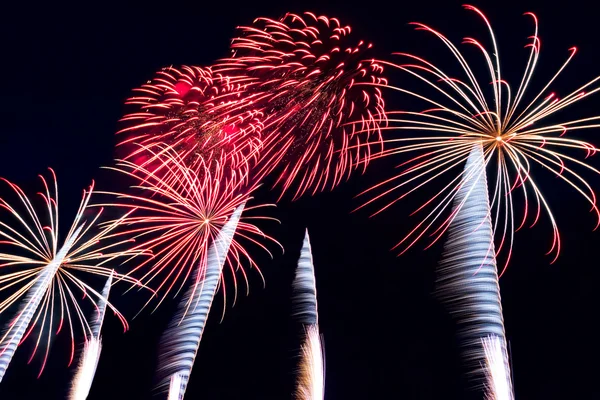 Colorful fireworks on the black sky background — Stock Photo, Image