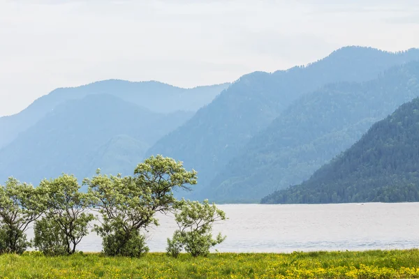 Beautiful landscape of the mountain lake in the summer day in su — Stock Photo, Image