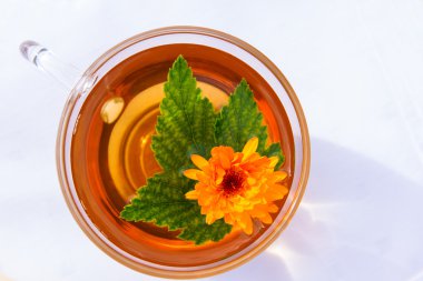 Çay üzümü yaprağı