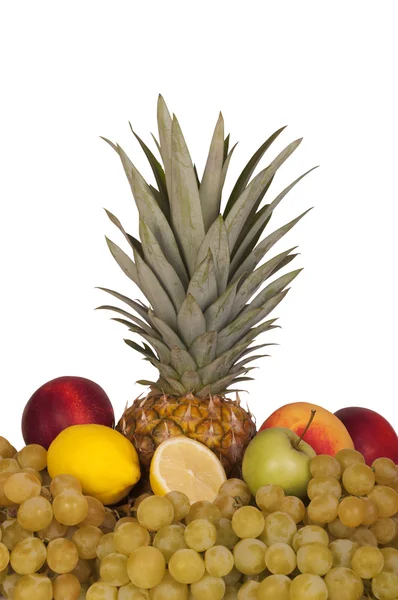 Frutta fresca succosa — Foto Stock