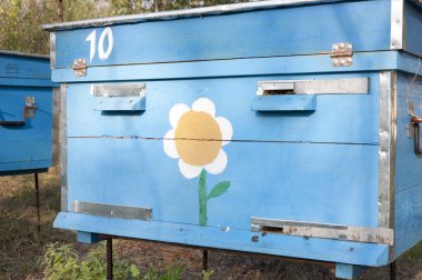 Bir arı kovanı kovan