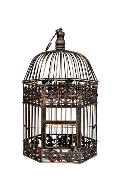 Empty bird cage