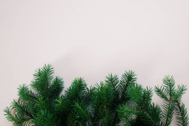 Mutlu yıllar ve mutlu Noeller. Noel ağacı dallarının arkaplanı.