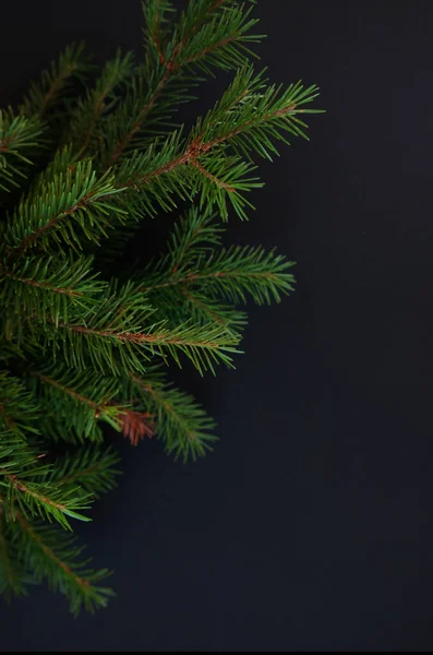 Bonne année et Joyeux Noël. Arrière-plan des branches d'arbre de Noël. — Photo