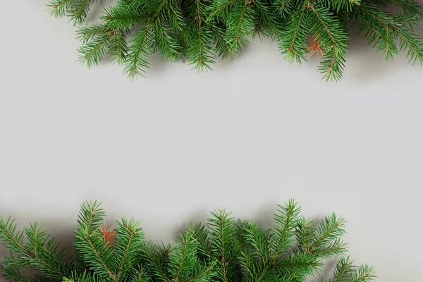 お正月とメリークリスマス。クリスマスツリーの枝の背景. — ストック写真