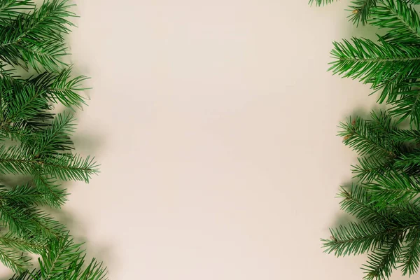 中立的な背景にクリスマスツリーの枝の背景. — ストック写真