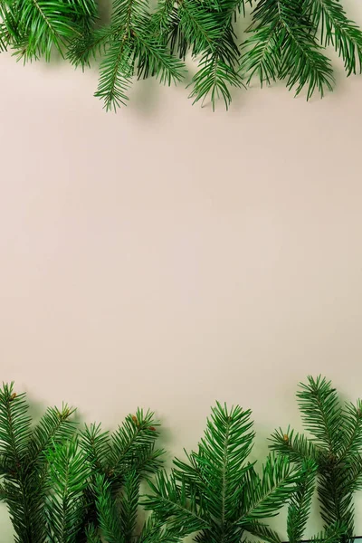 Achtergrond van kerstboom takken op neutrale achtergrond. — Stockfoto