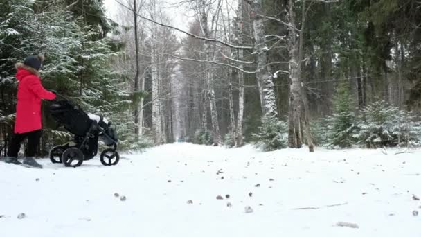 Hermano Mayor Está Caminando Con Hermana Niño Enrolla Cochecito Bosque — Vídeo de stock