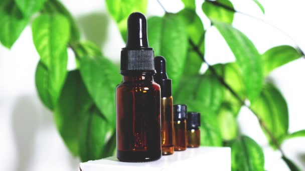 Various empty bottles of essential oils on a white background with green leaves. — Stok video