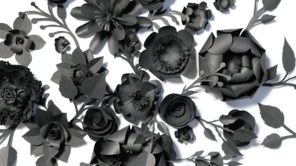 Las flores de papel negro sobre un fondo blanco giran en círculo — Vídeos de Stock