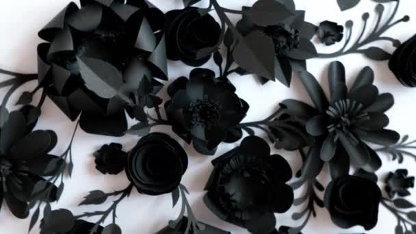 Las flores de papel negro sobre un fondo blanco giran en círculo — Vídeo de stock