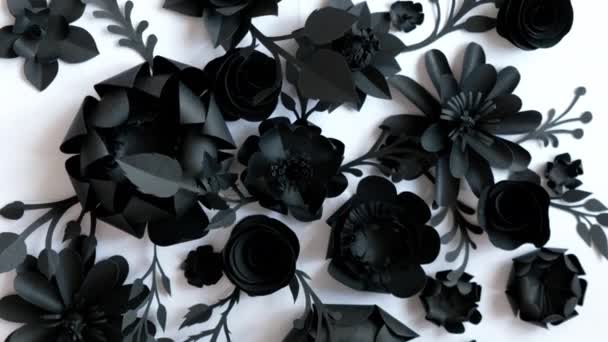 Las flores de papel negro sobre un fondo blanco giran en círculo — Vídeos de Stock