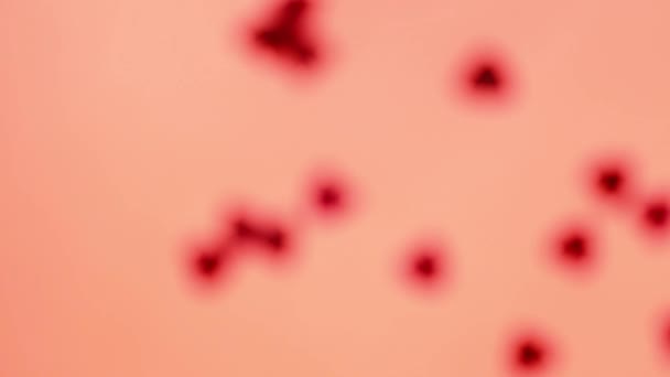 Czerwone cekiny w kształcie serca kręcą się w kółko na czerwonym tle — Wideo stockowe