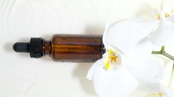 Szklana Butelka Kosmetyczna Pipetą Leży Powierzchni Wody Białą Orchideą Górny — Wideo stockowe