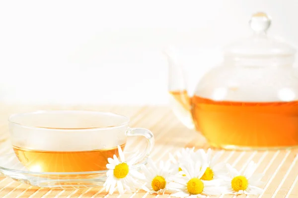 Teacup with herbal chamomile tea — Stock Photo, Image