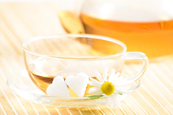 Teacup with herbal chamomile tea — Stock Photo, Image