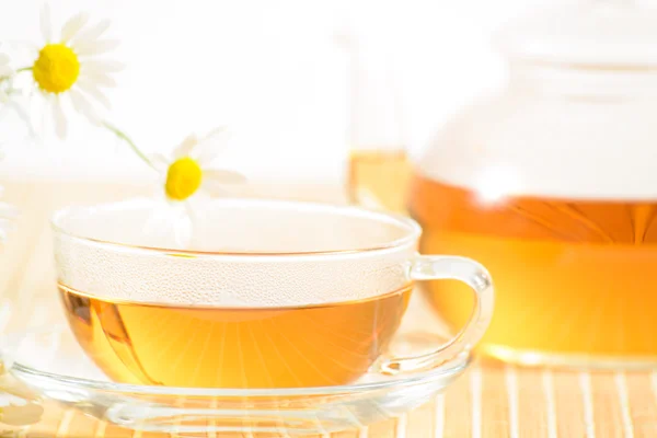 Teacup with herbal chamomile tea — Stock Photo, Image