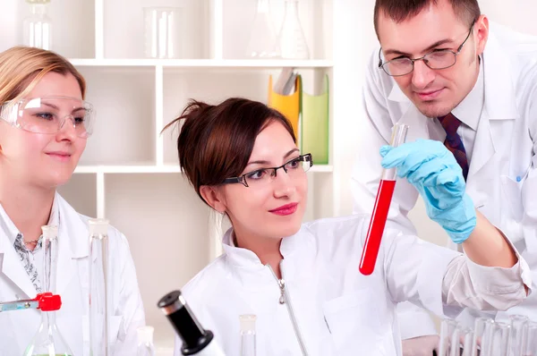 Portrait of a group of chemists — Stock Photo, Image