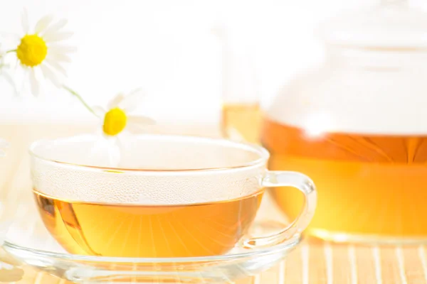 Чай с ромашкой — стоковое фото