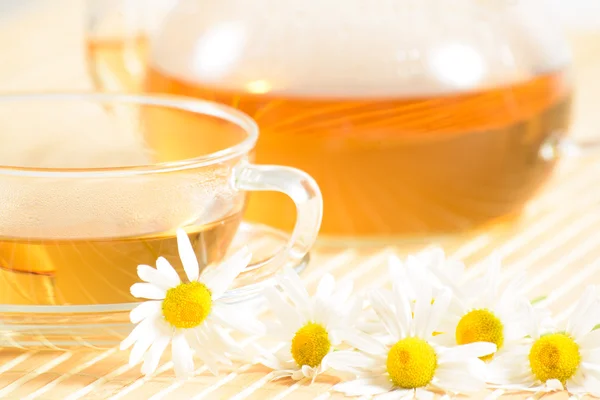 Teacup with herbal chamomile tea — Stock Photo, Image