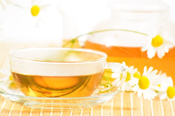 Teacup with herbal chamomile tea — Stock Photo, Image