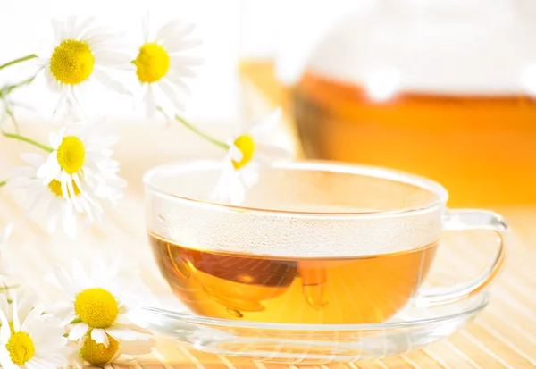 Teacup with herbal chamomile tea — Stock Photo, Image