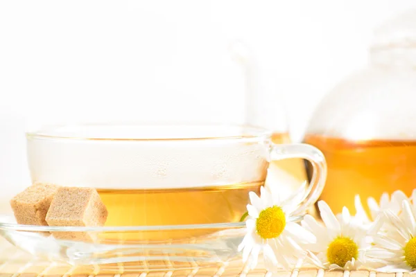 Bitkisel papatya çayı ile çay fincanı — Stok fotoğraf