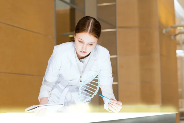 Young woman doing research — Stock Photo, Image