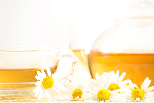 Teacup with herbal chamomile tea — Stock Photo, Image