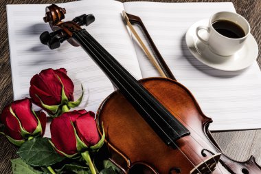 keman, rose, kahve ve müzik kitapları