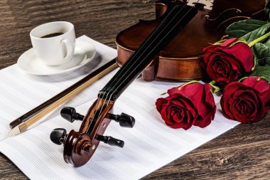 keman, rose, kahve ve müzik kitapları