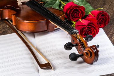 keman, gül ve müzik kitapları