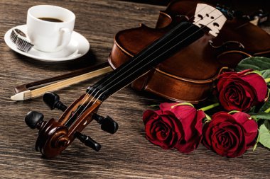 keman, rose, kahve ve müzik kitapları