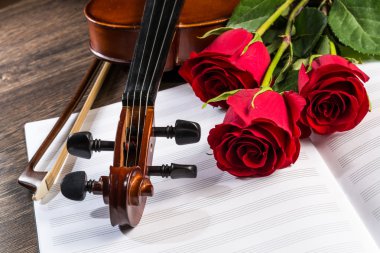 keman, gül ve müzik kitapları