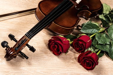 keman, gül ve müzik kitapları