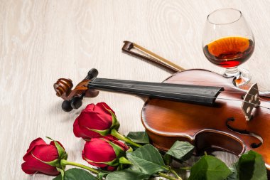 keman, rose, cam ve müzik kitapları