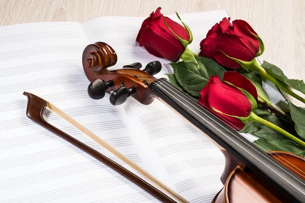 Violin, rose and music books — Stock Photo, Image