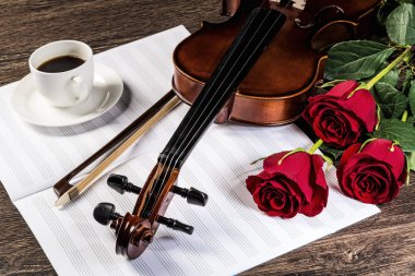 keman, rose, kahve ve müzik kitapları
