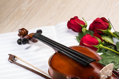 keman, gül ve müzik kitapları