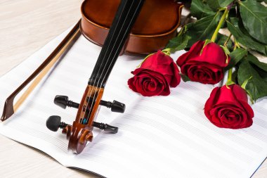 keman, gül ve müzik kitapları