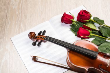 keman, gül ve müzik kitapları