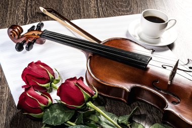 keman, rose, kahve ve müzik kitapları
