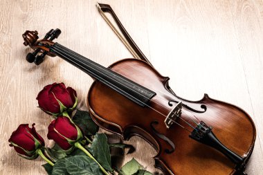 keman, gül ve müzik kitapları
