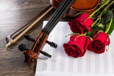 keman, gül ve müzik kitapları