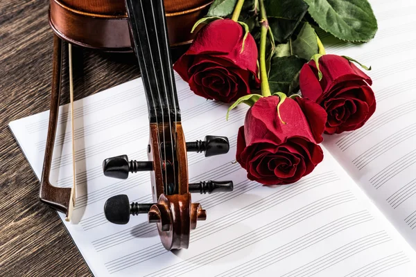 keman, gül ve müzik kitapları