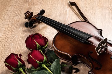keman, gül ve müzik kitapları