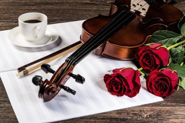 keman, rose, kahve ve müzik kitapları